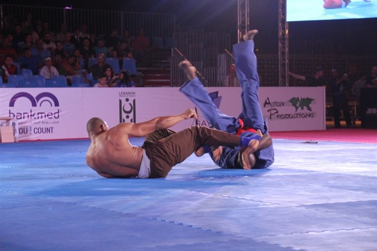 Martial Arts Festival